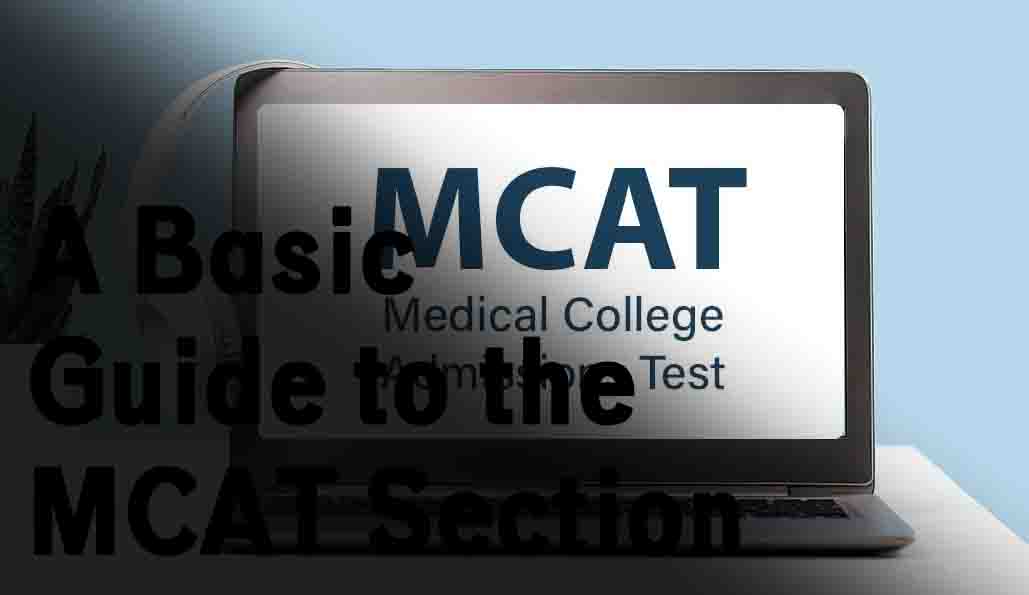 MCAT Section