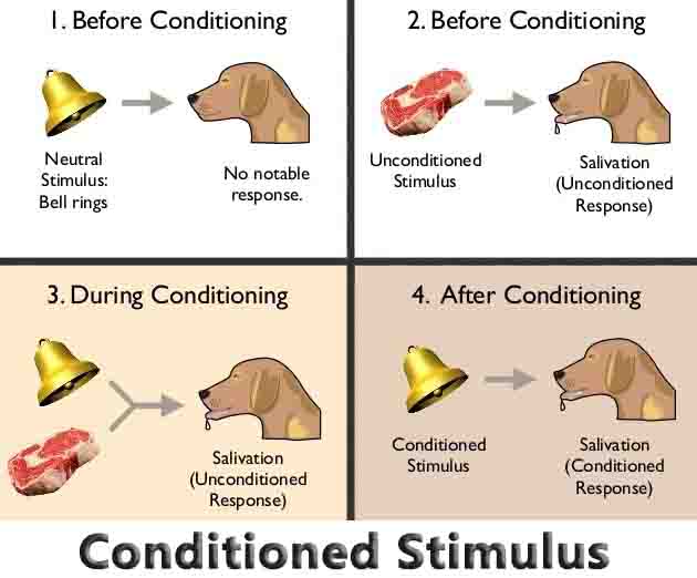 Conditioned Stimulus